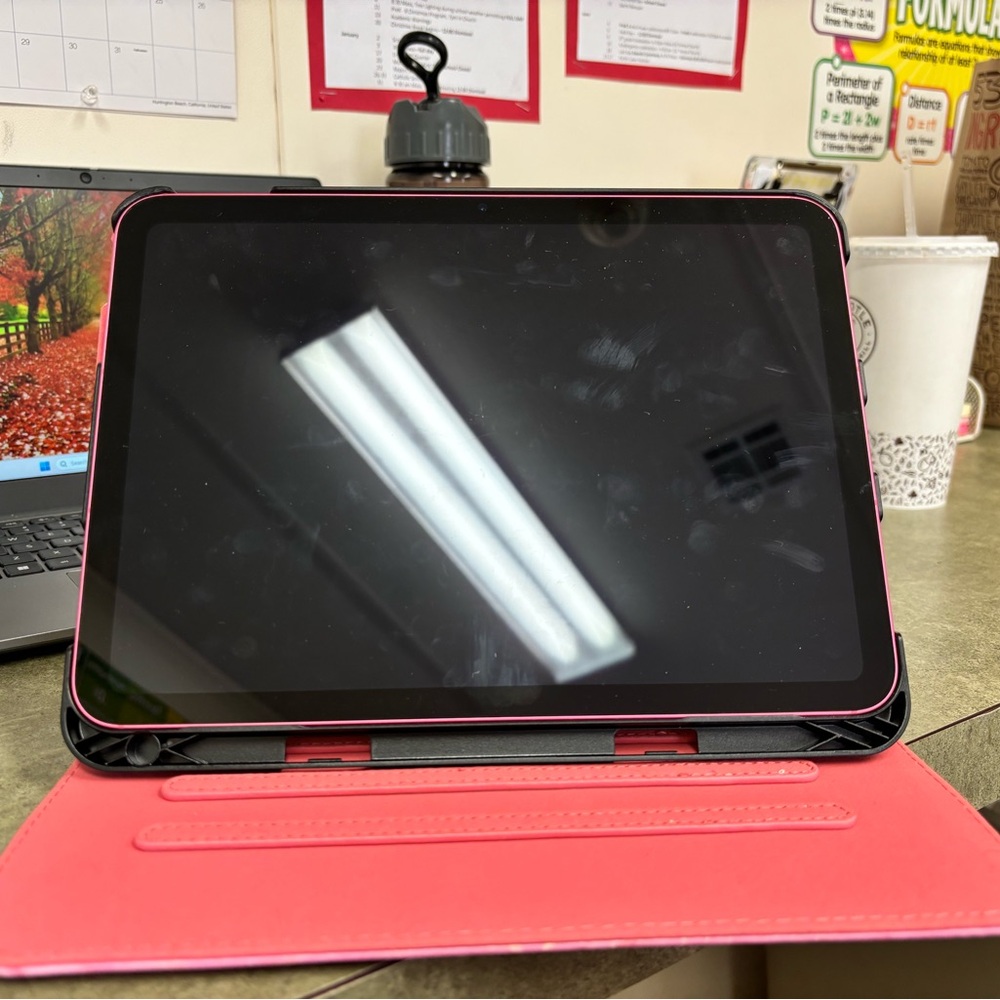 Apple 10th Generation IPAD. WiFi plus cellular. 256 GB.